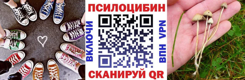 Галлюциногенные грибы GOLDEN TEACHER  наркотики  Астрахань 