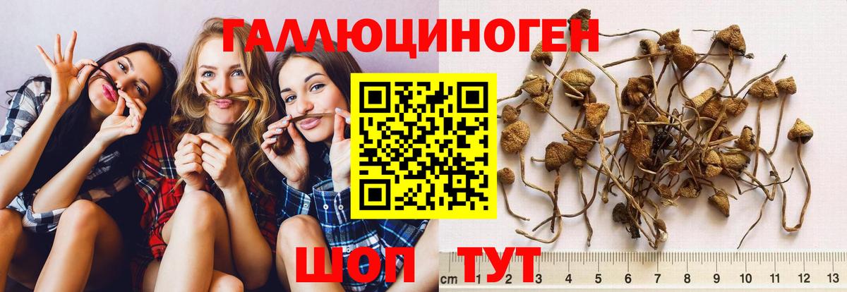 Псилоцибиновые грибы MAGIC MUSHROOMS  Вход с VPN  Псилоцибиновые грибы прущие грибы  Астрахань 
