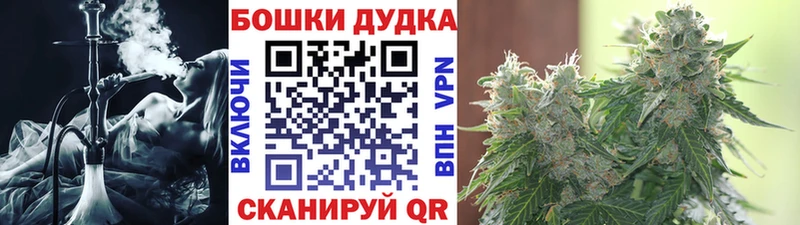 Бошки Шишки Amnesia  Астрахань 
