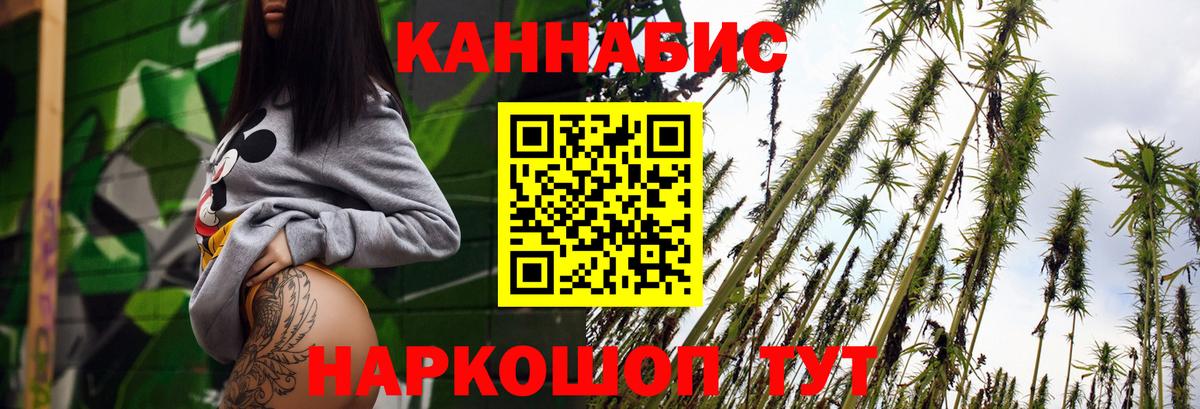 Каннабис индика Астрахань